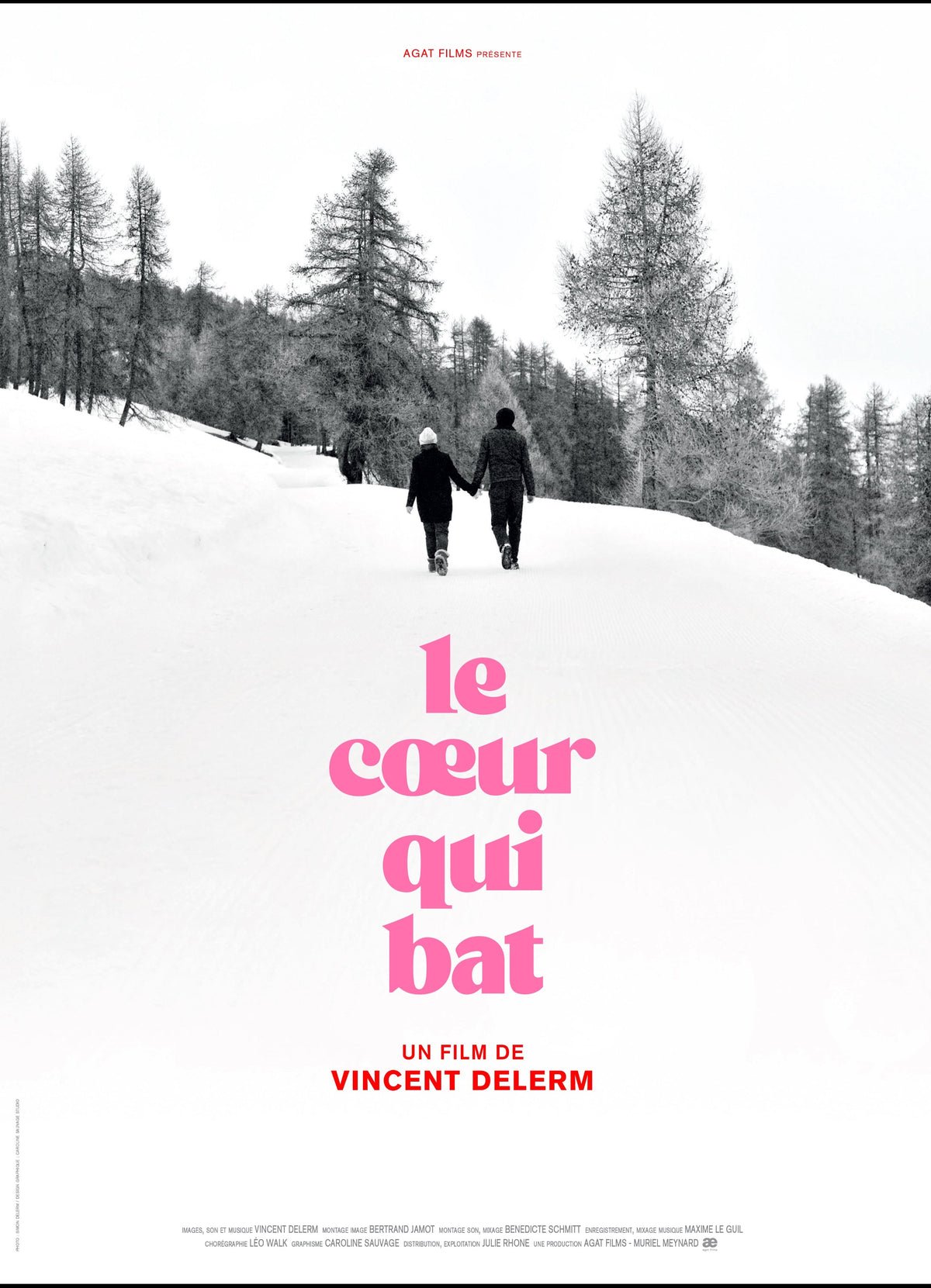 Vincent Delerm - Film et BOF "Le cœur qui bat" (DVD-CD)